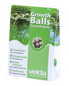Groeibollen