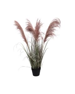 Künstliches Pampasgras Rosa H 108 cm