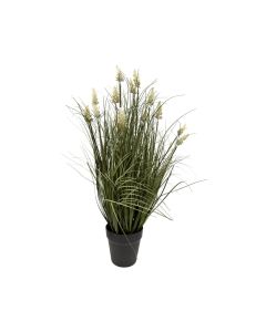 Künstliches Pennisetum Lampenputzergras Weiß Im Topf H 65