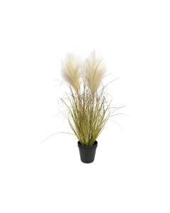 Künstliches Pampasgras Pfirsich H 72 cm