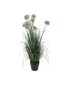 Künstliches Allium Ziergras Weiß H 92 cm