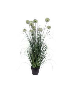 Künstliches Allium Ziergras Weiß H 117 cm