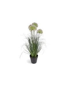 Künstliches Allium Ziergras Weiß H 57 cm