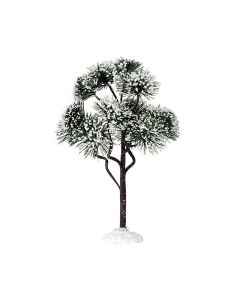 LEMAX Mountain Pine Large