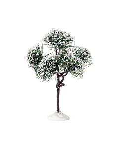 LEMAX Mountain Pine Medium