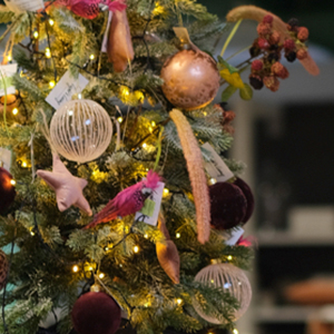 Kerst bij Oosterik